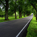 Kentucky Bluegrass Horse Country - Old Frankfort Pike
