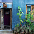 Colorful Historic Tucson Door Architecture 5