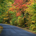 Fall Color - Brown County State Park - Indiana